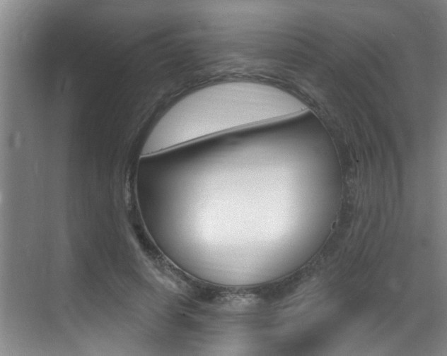 X0000069840642200605191009