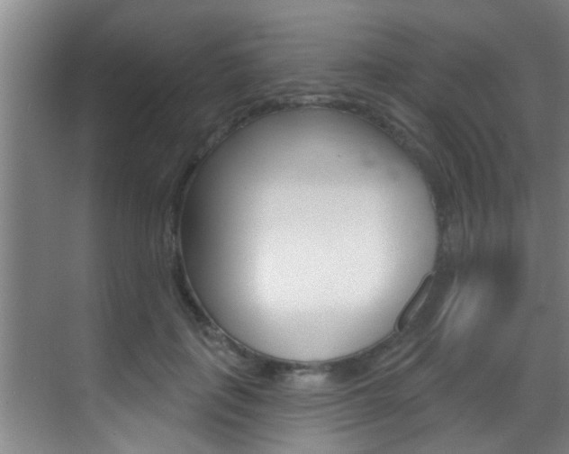 X0000069840651200605191009