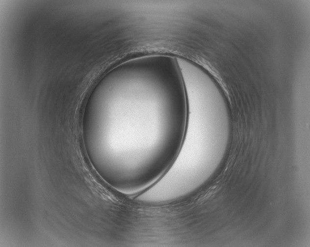 X0000069840673200605191008