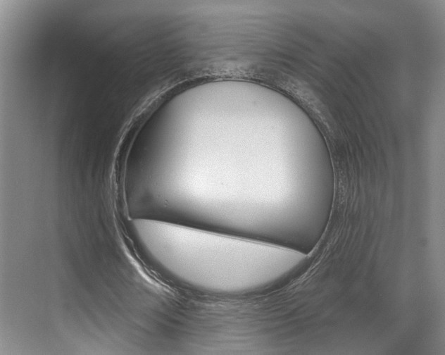 X0000069840674200605191008