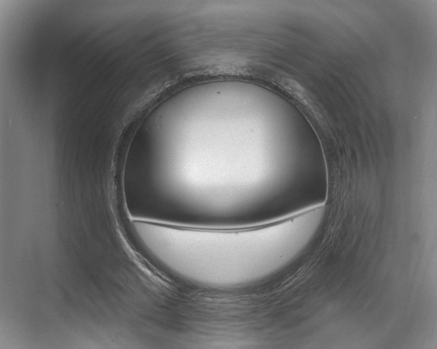 X0000069840677200605191008