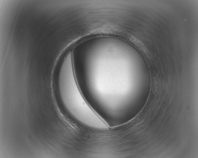 X0000069840680200605191008