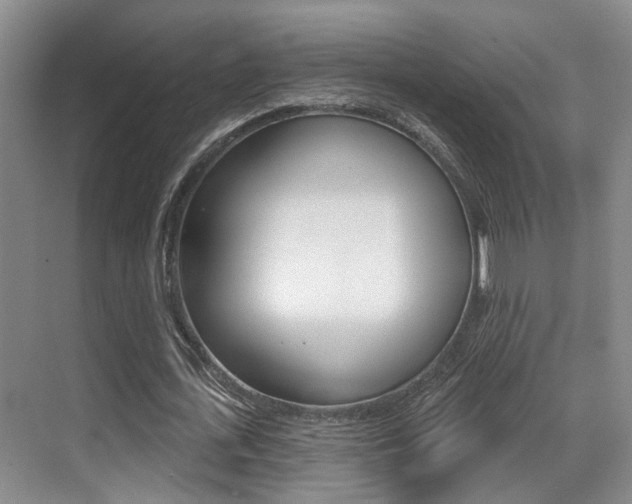 X0000069840723200605191007
