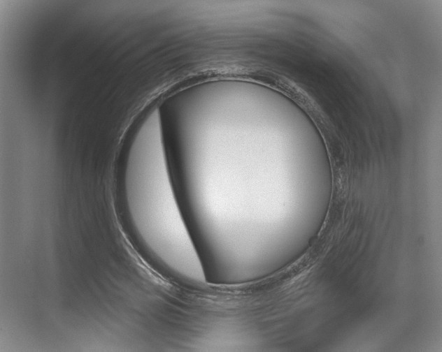 X0000069840725200605191007