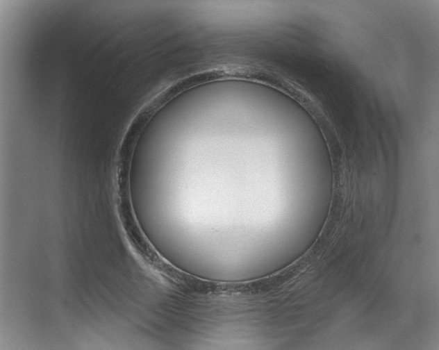 X0000069840730200605191007