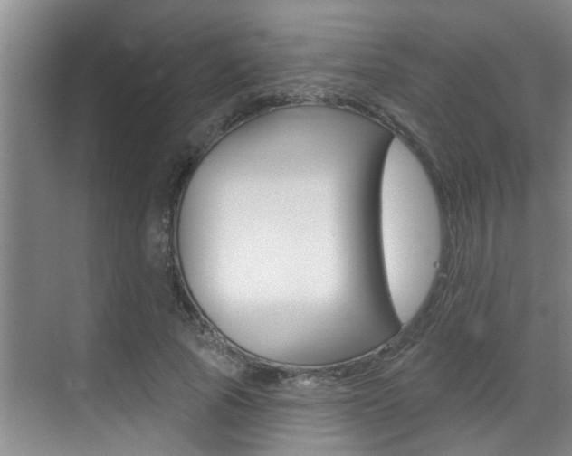X0000069840737200605191007