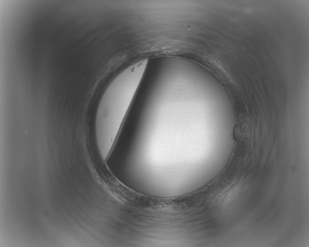 X0000069840738200605191007