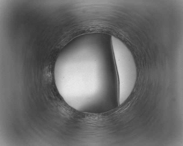 X0000069840771200605191007