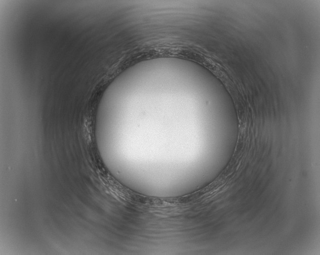 X0000069840772200605191007