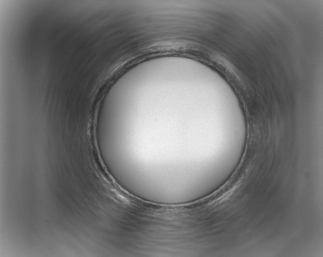 X0000069840778200605191007