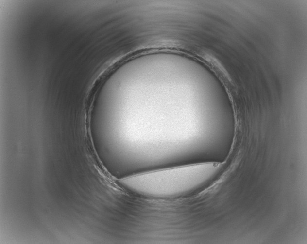 X0000069840781200605191006