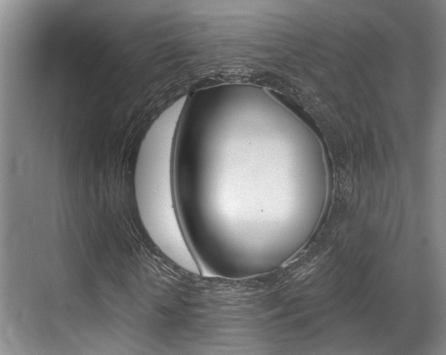 X0000069840818200605191005