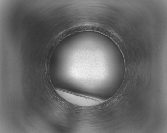 X0000069840821200605191005
