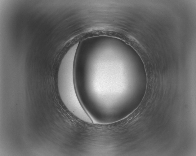 X0000069840822200605191005