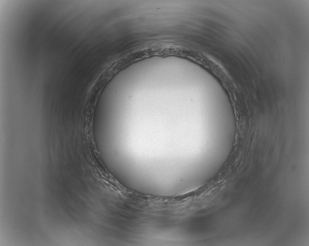 X0000069840823200605191005