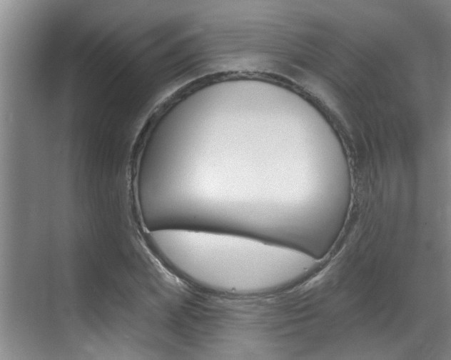 X0000069840831200605191005