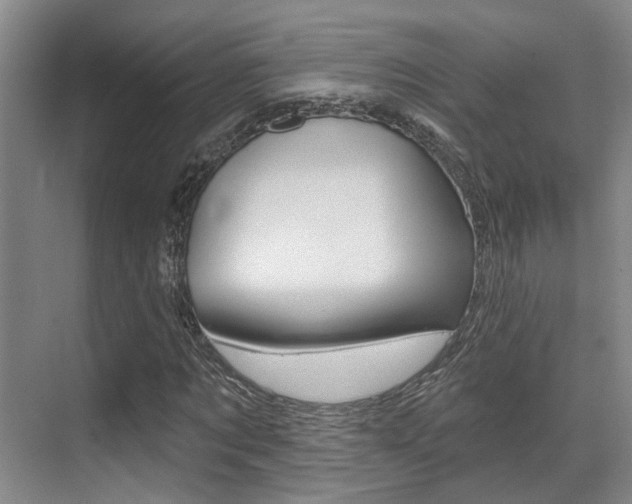 X0000069840869200605191005