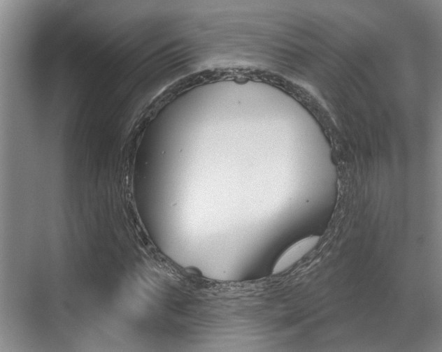 X0000069840871200605191005