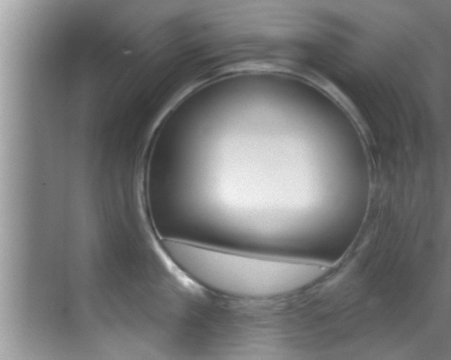 X0000069840909200605191004
