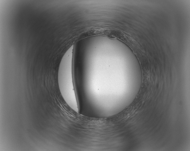 X0000069840914200605191003
