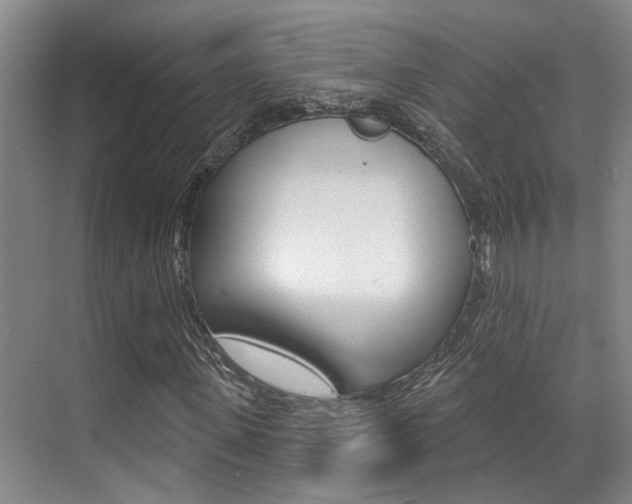 X0000069840915200605191004