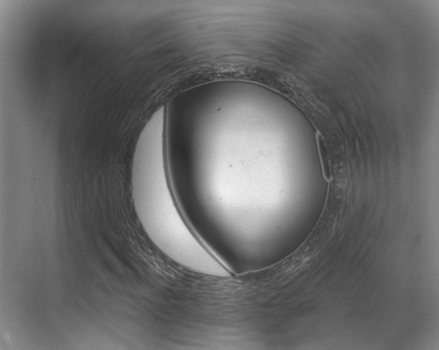 X0000069840916200605191004