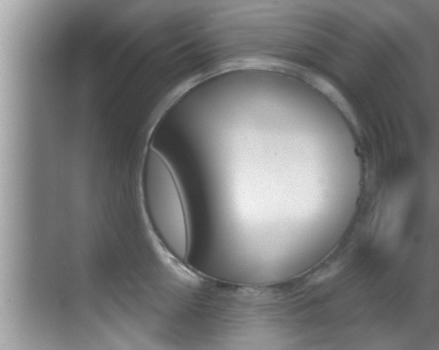 X0000069840954200605191004