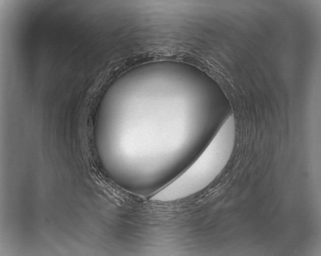 X0000069840961200605191003