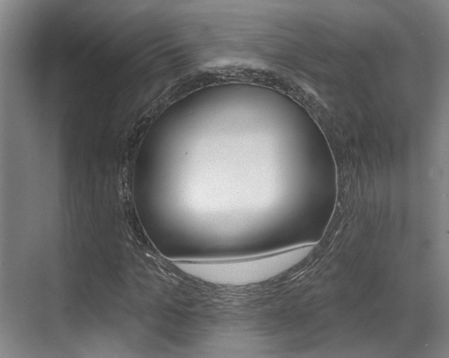 X0000069840965200605191003