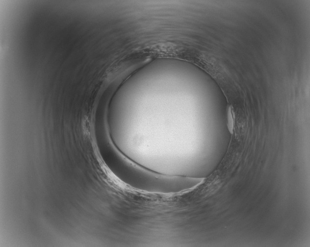 X0000069841010200605191002