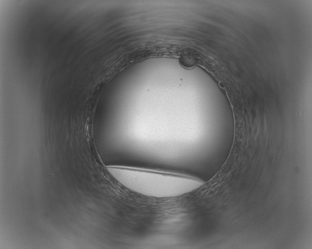 X0000069841013200605191002