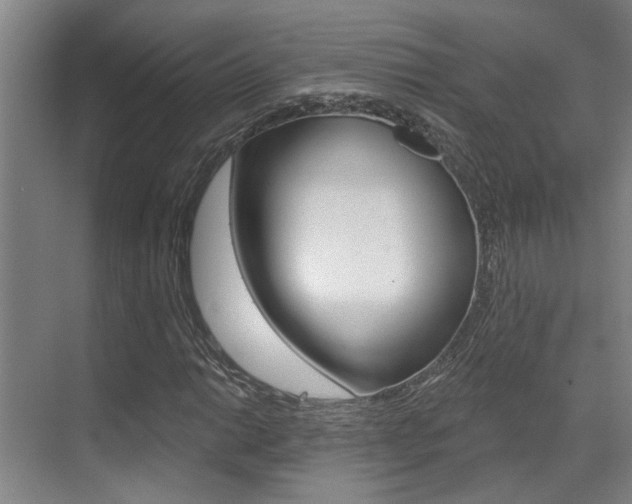 X0000069841014200605191002