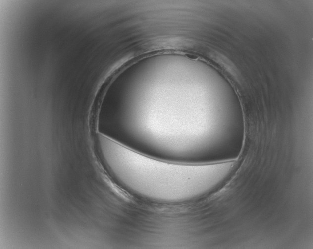 X0000069841026200605191002