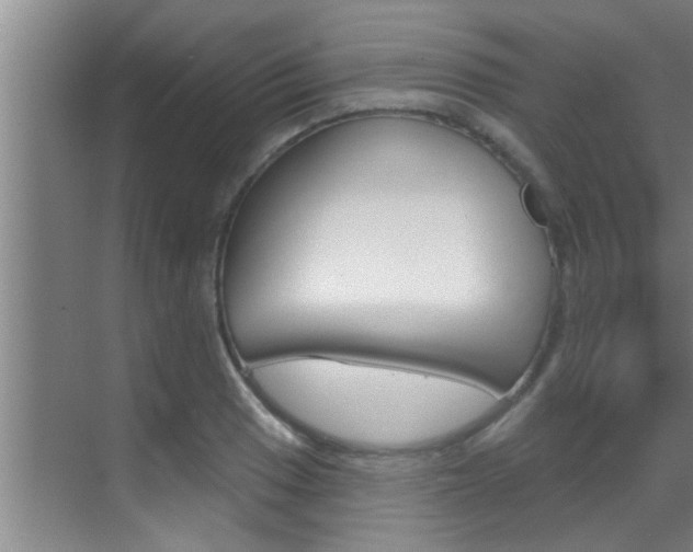 X0000069841033200605191002