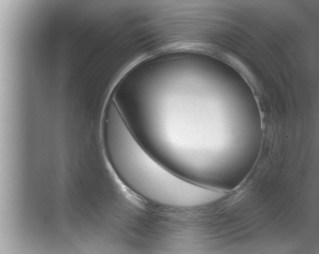 X0000069841050200605191003
