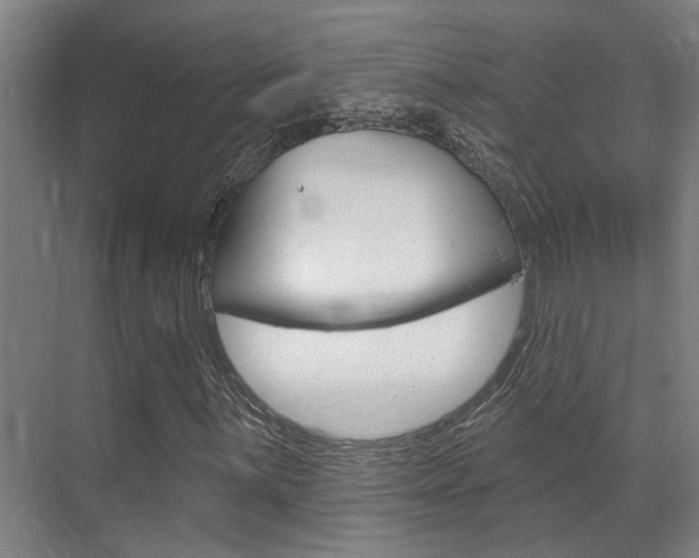 X0000069841059200605191002
