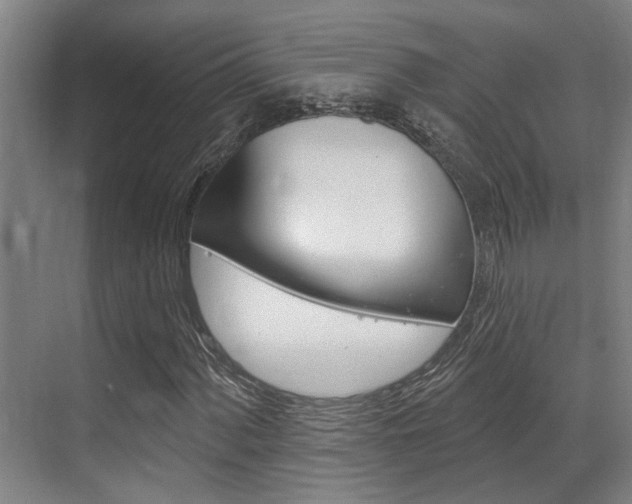 X0000069841060200605191002