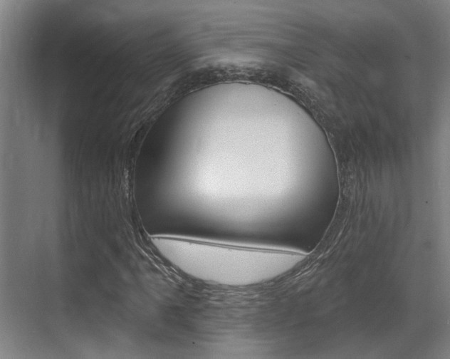 X0000069841061200605191002