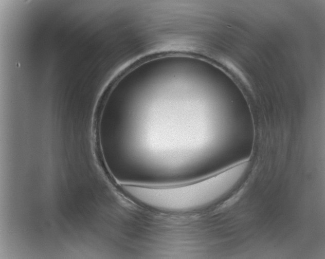 X0000069841077200605191002