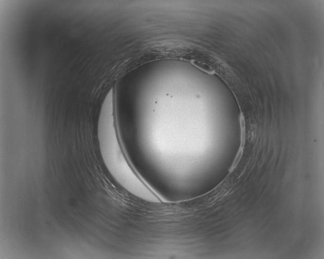 X0000069841108200605191000