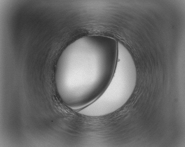 X0000069841153200605191000