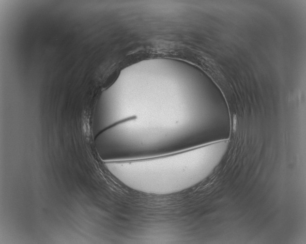 X0000069841155200605191000