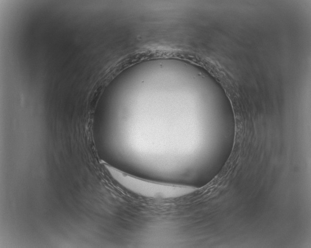 X0000069841157200605191000