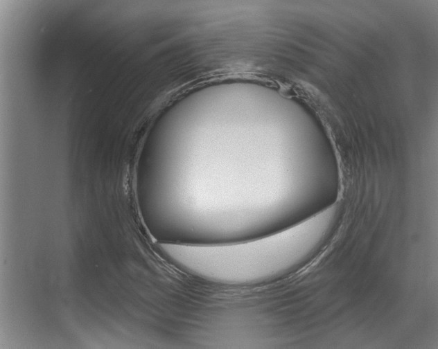 X0000069841161200605191000