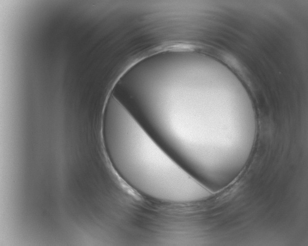 X0000069841194200605191000