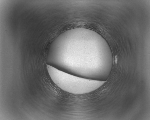 X0000069841203200605190959