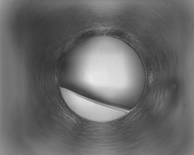 X0000069841204200605190959