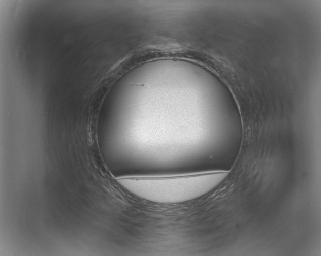 X0000069841205200605190959