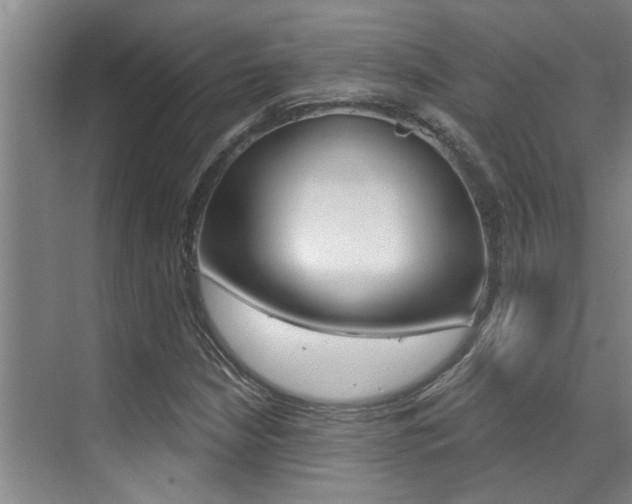 X0000069841210200605190959