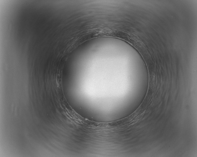 X0000069841250200605190959